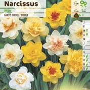 Narcisos dobles en mezcla